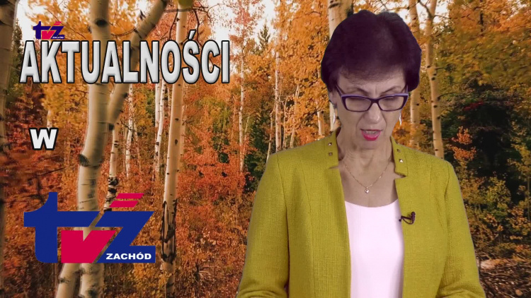 news.mp4