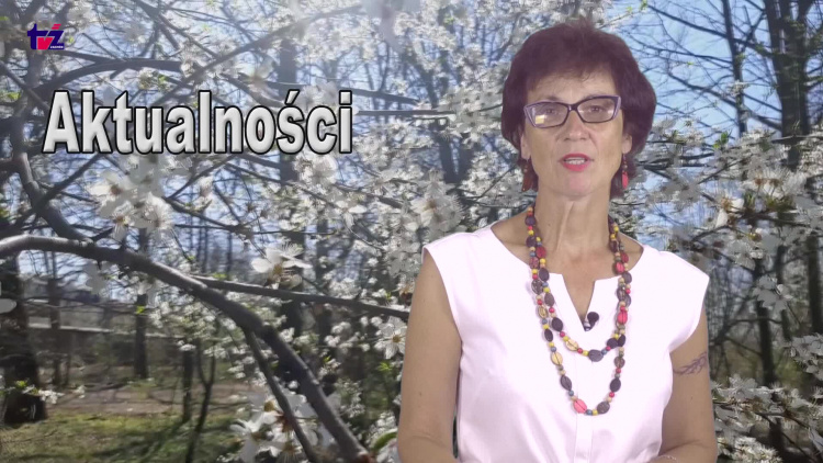 aktualnosci_tv_zachod.mp4