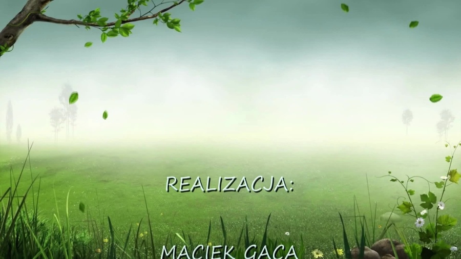 maciek2711.mp4