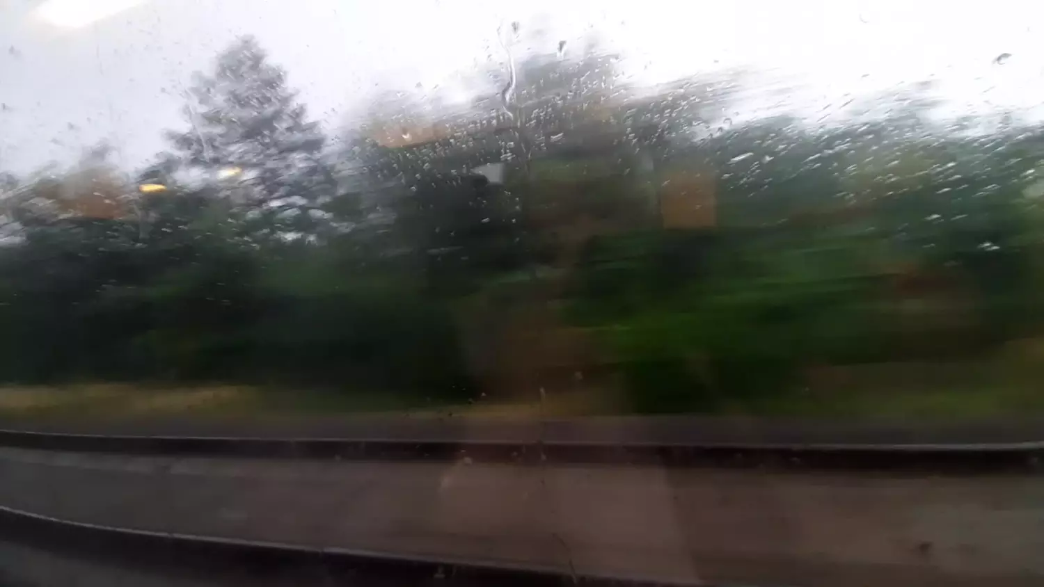 pkp.mp4