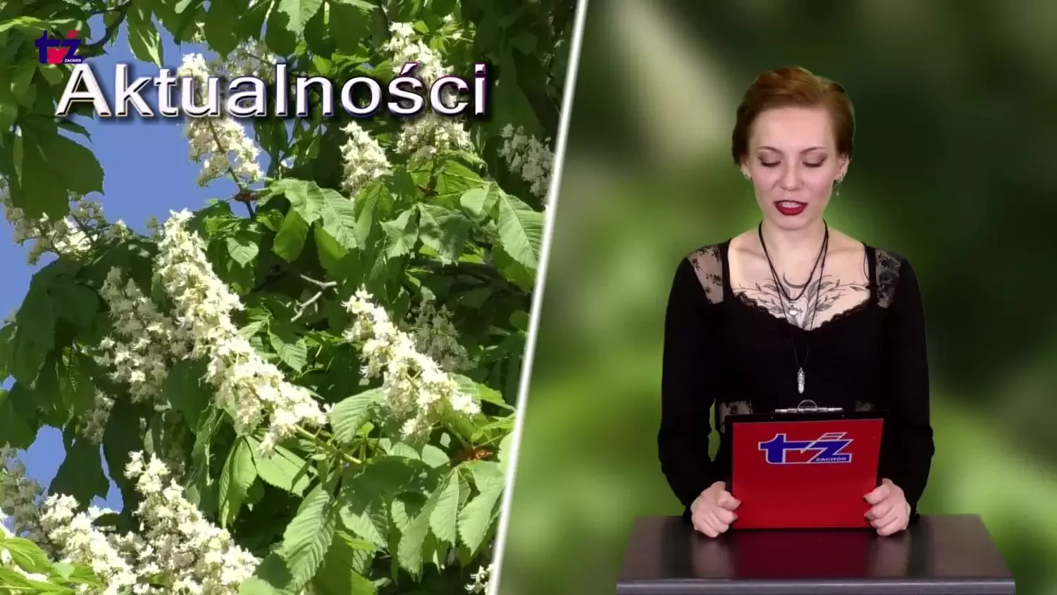 aktualnosci.mp4